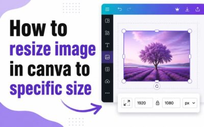 How to Resize Image in Canva to Specific Size